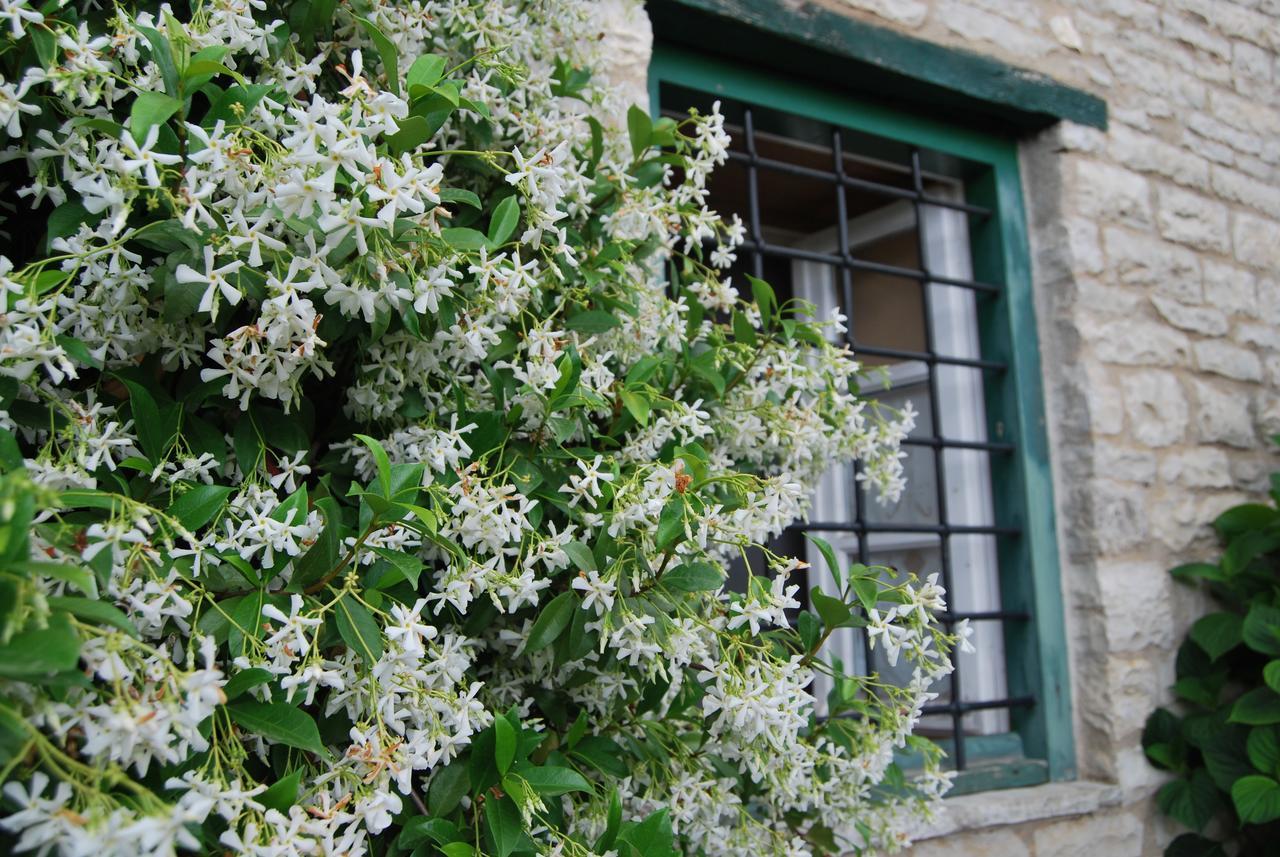 Tritoxo Guesthouse Koukkoúlion 외부 사진